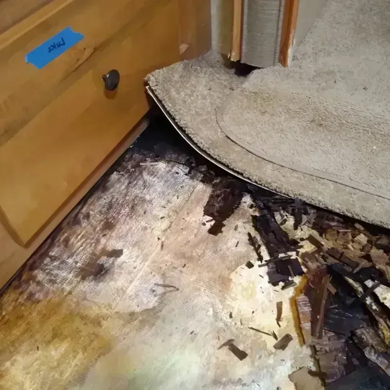 Best Wood Floor Water Damage Service in Haskins, OH